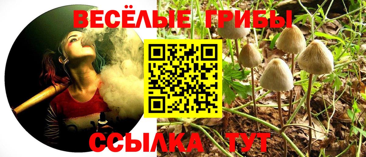Псилоцибиновые грибы MAGIC MUSHROOMS Новоуральск