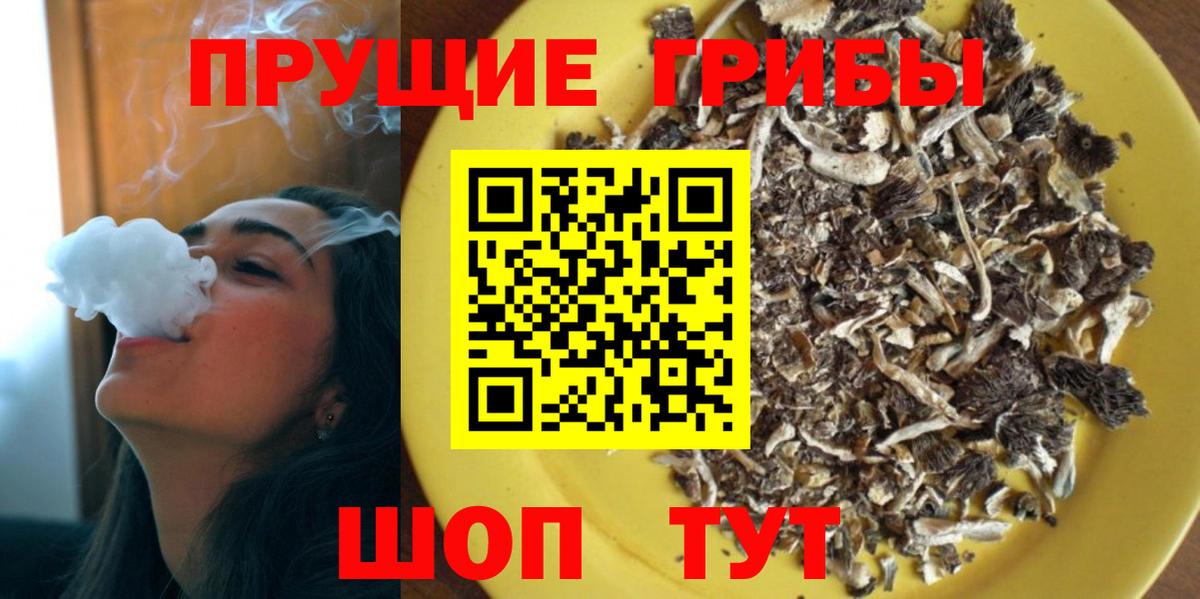 Новоуральск  наркота  Вход с VPN  Галлюциногенные грибы ЛСД 